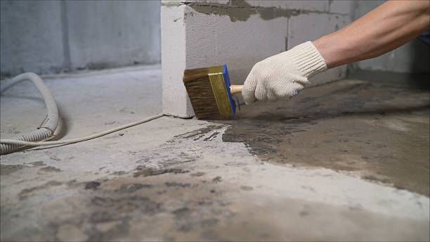 SJ Waterproofing Pros Waterproofing coverage map for Georgetown, KY and surrounding area